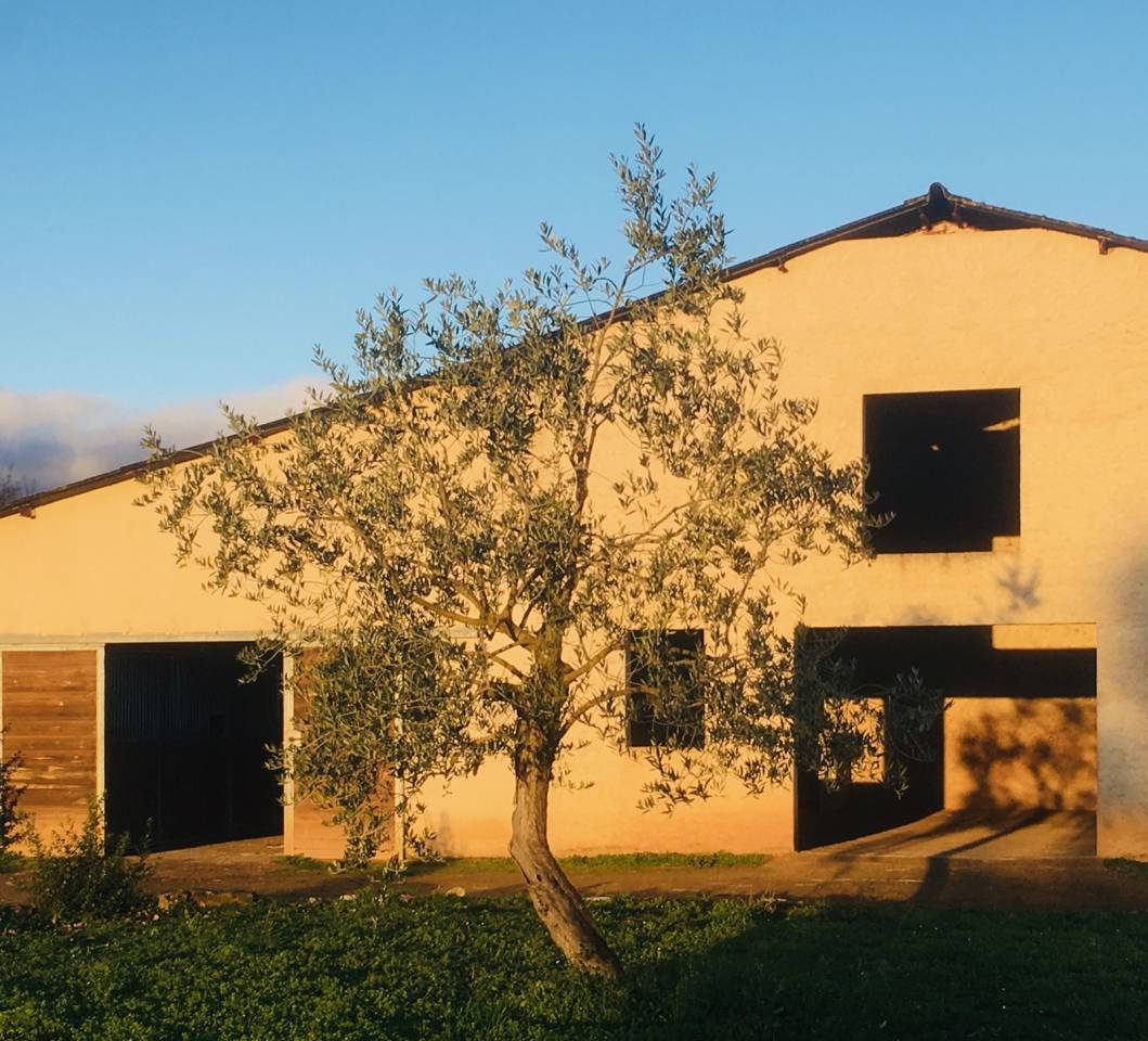 Equestrian property  Tarn-et-Taronne