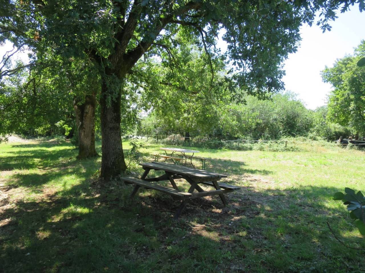 Equestrian property  Tarn-et-Taronne