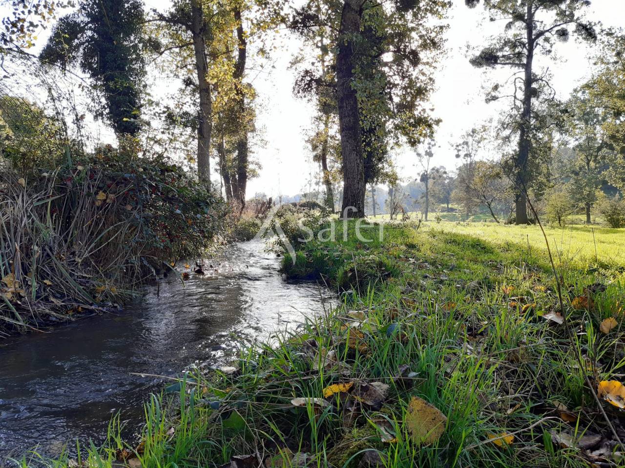 Other agricultural property  Deux-Sèvres