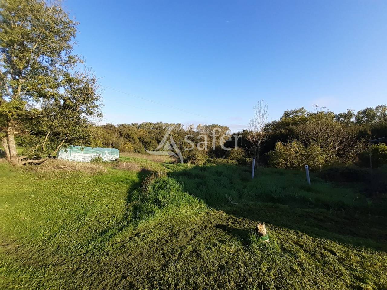 Other agricultural property  Deux-Sèvres