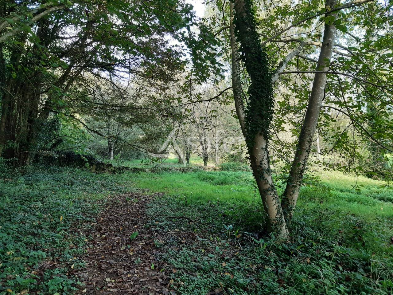 Other agricultural property  Deux-Sèvres