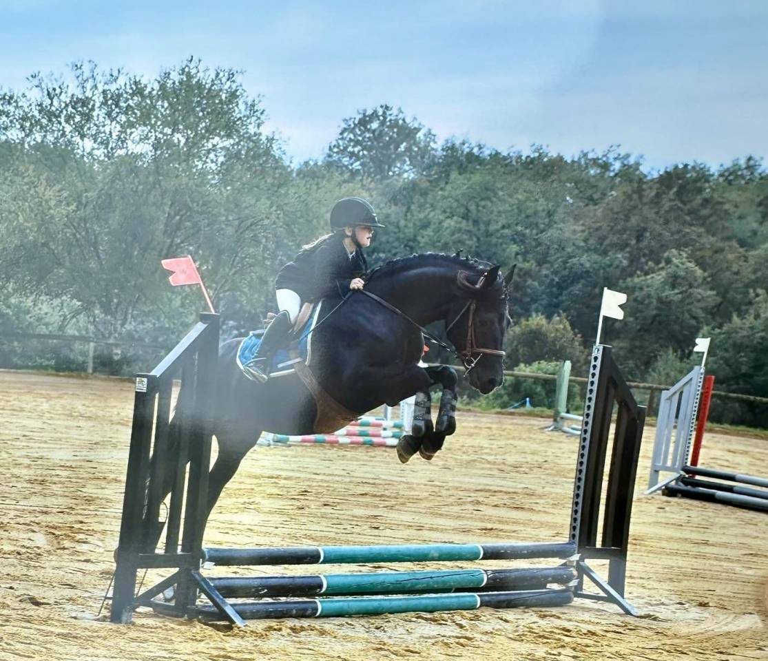 VOGNMANDGARDENS REMBRANDT - New Forest 2020 by OPBROEKS WICKLOW