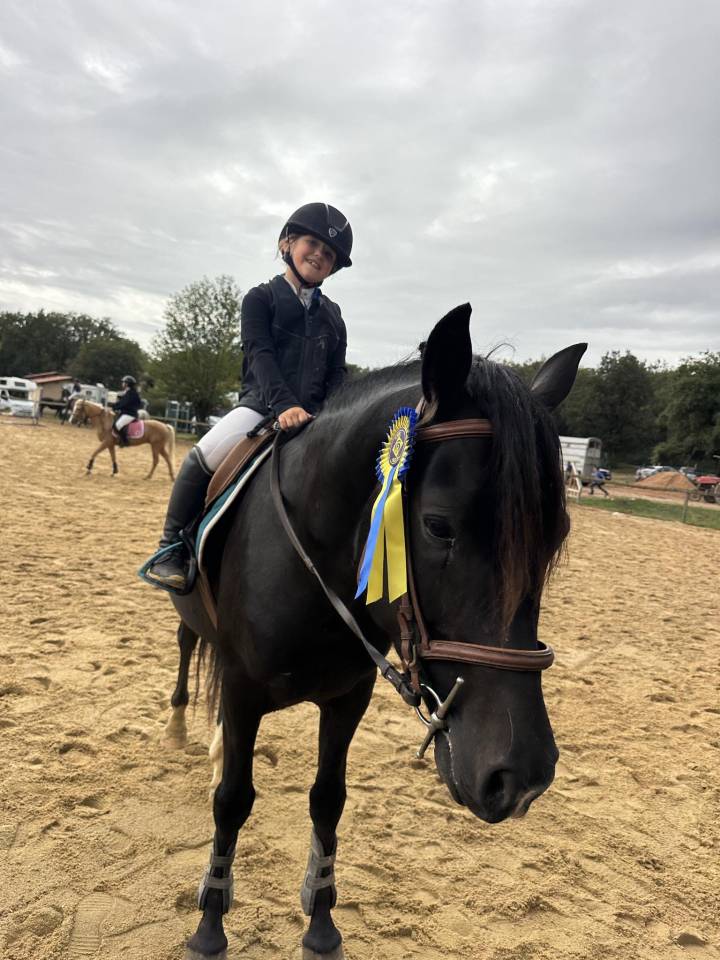 VOGNMANDGARDENS REMBRANDT - New Forest 2020 by OPBROEKS WICKLOW