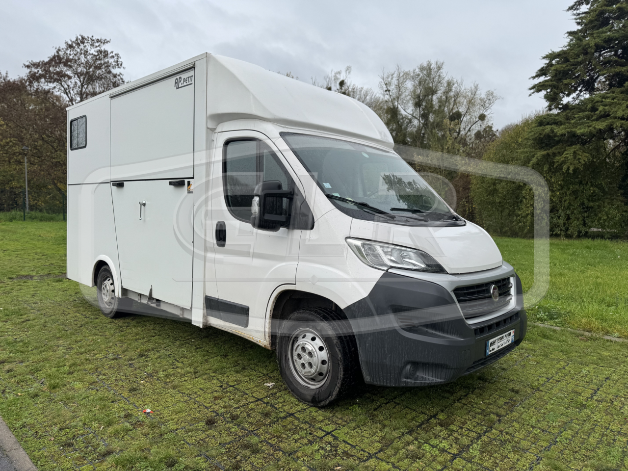Horsebox HGV AP Petit  2017 Used