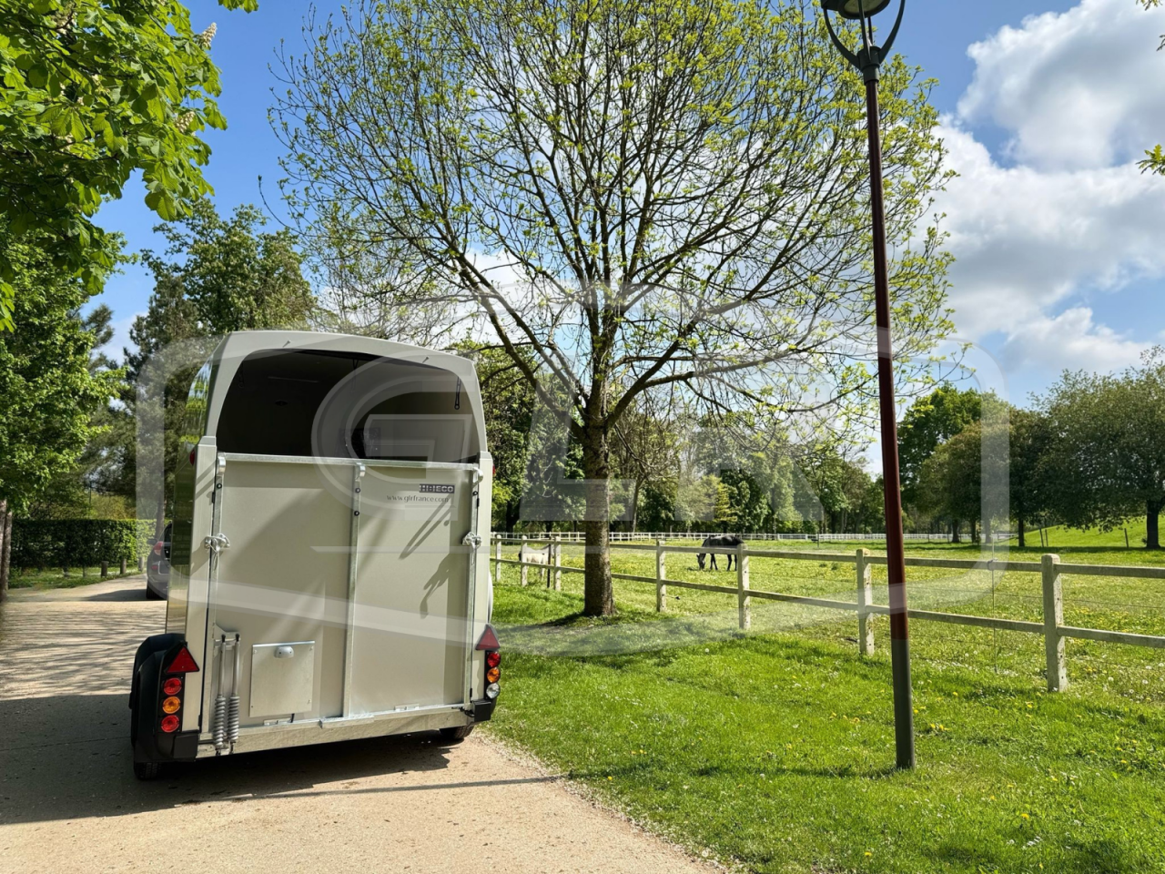 Horse trailer Ifor Williams HBEECO 2 Stalls 2025 New