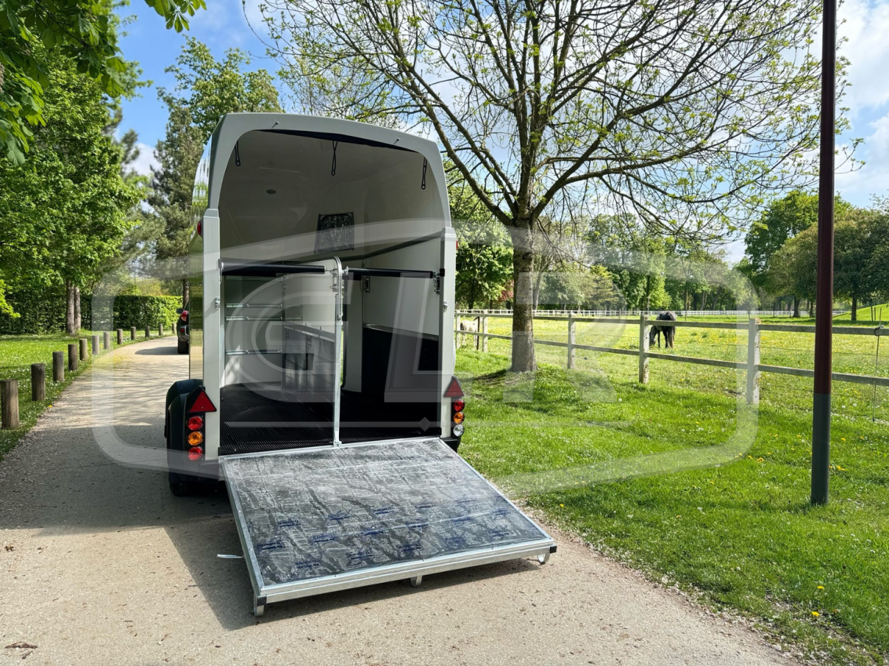 Horse trailer Ifor Williams HBEECO 2 Stalls 2025 New