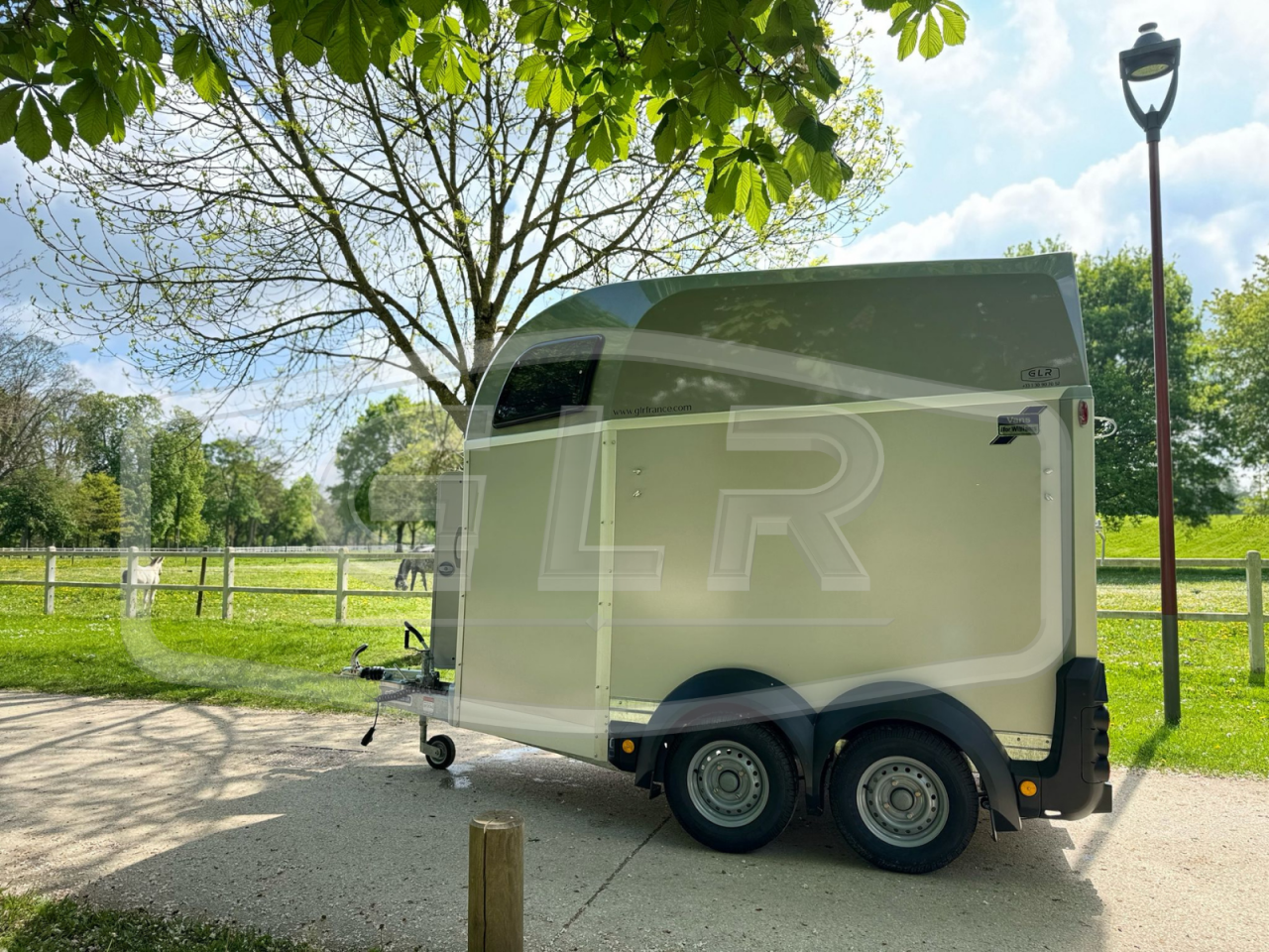 Horse trailer Ifor Williams HBEECO 2 Stalls 2025 New