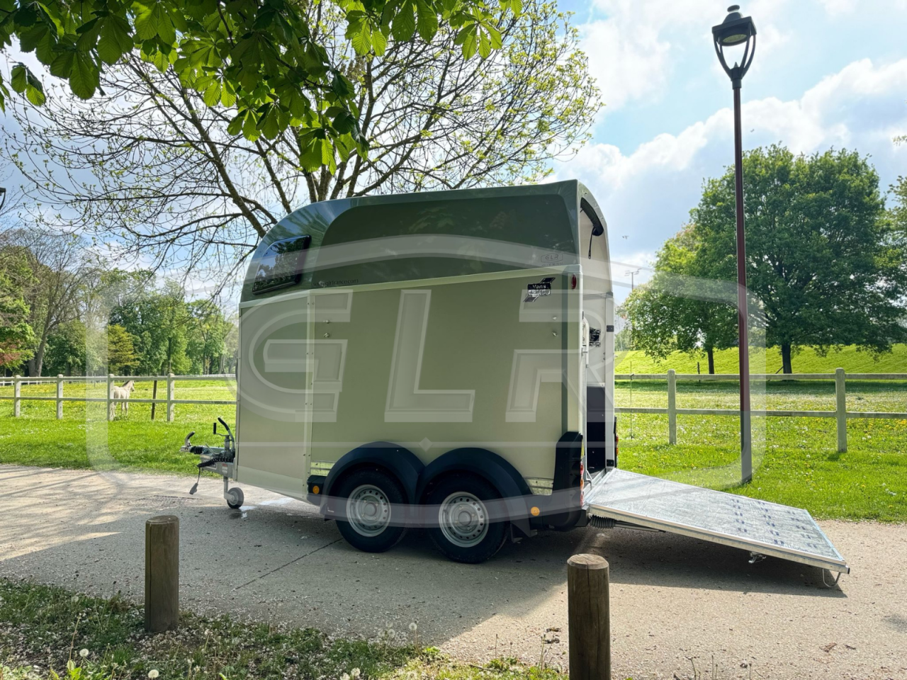 Horse trailer Ifor Williams HBEECO 2 Stalls 2025 New