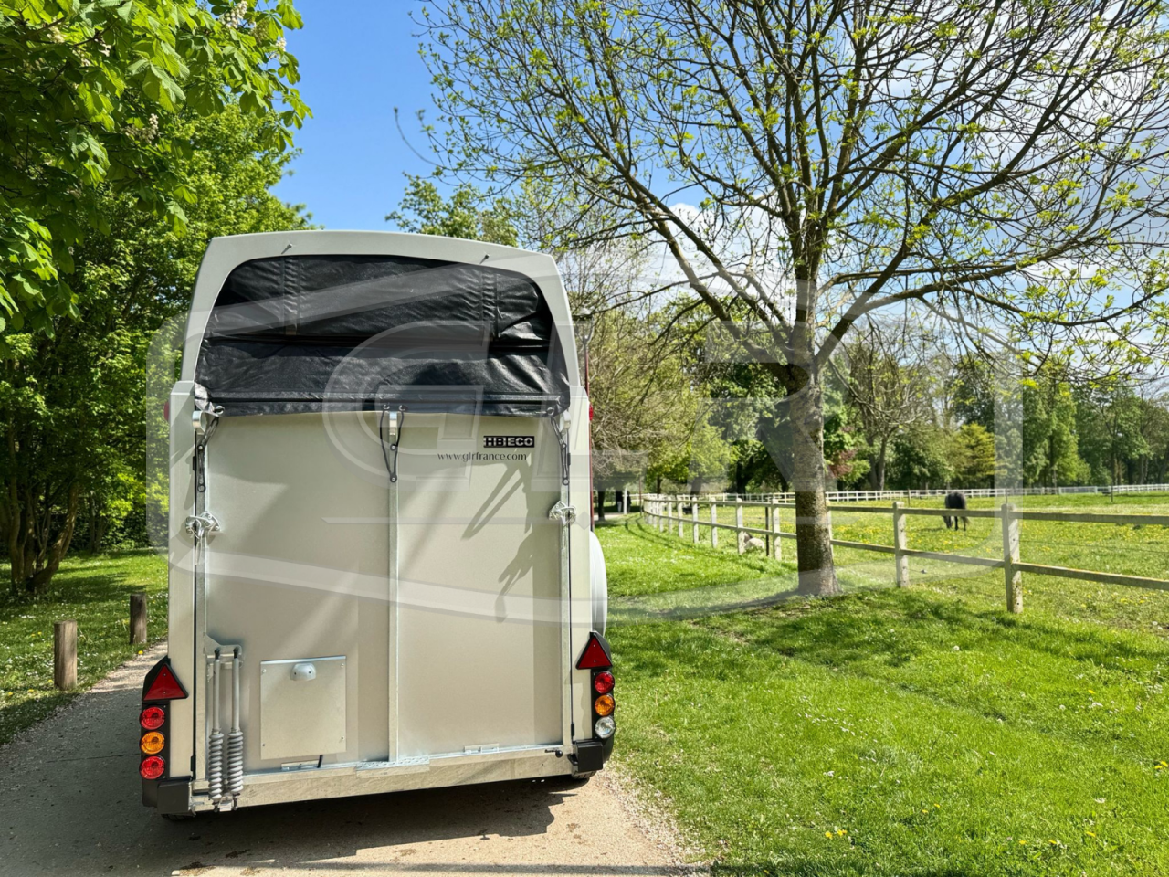 Horse trailer Ifor Williams HBEECO 2 Stalls 2025 New