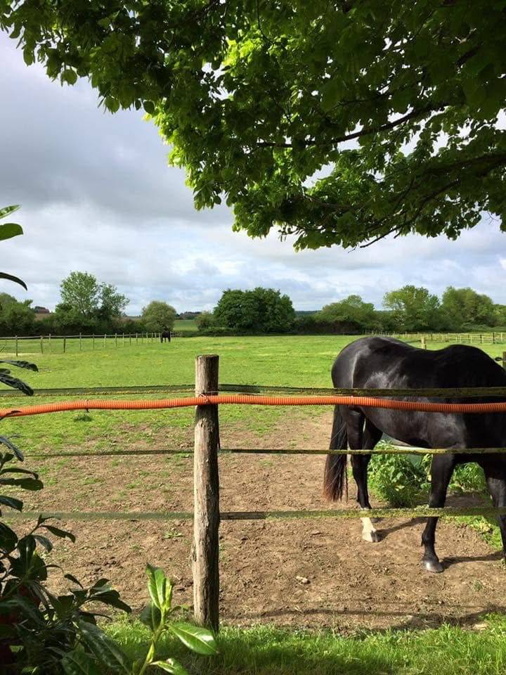 Equestrian property  Calvados