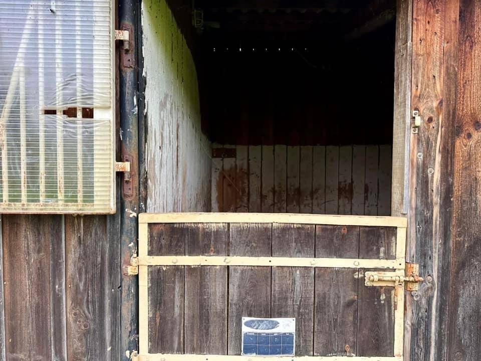 Equestrian property  Calvados