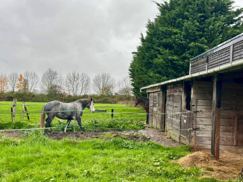 Equestrian property  Calvados