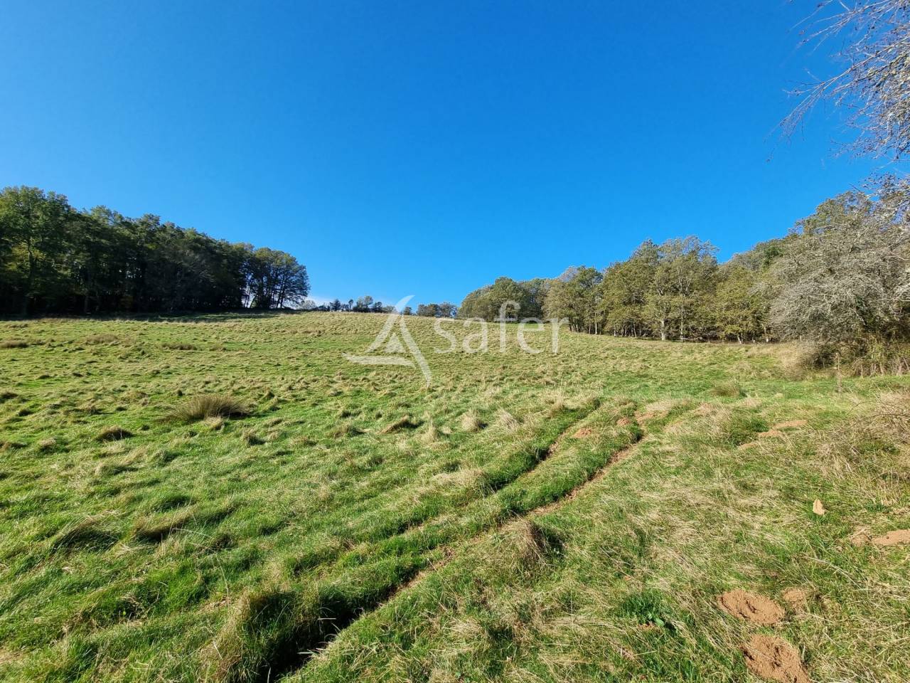 Other country property  Lot