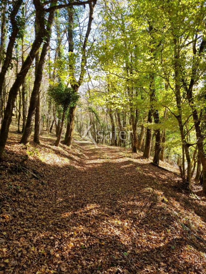 Other country property  Lot