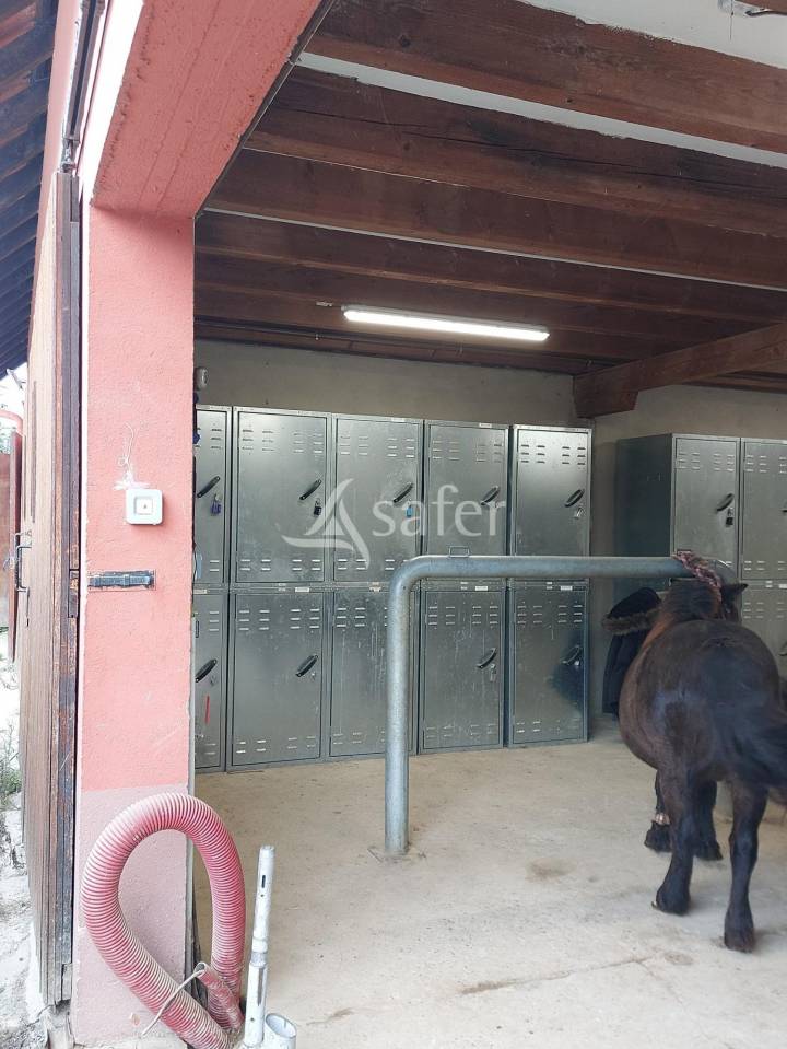 Equestrian property  Bas-Rhin