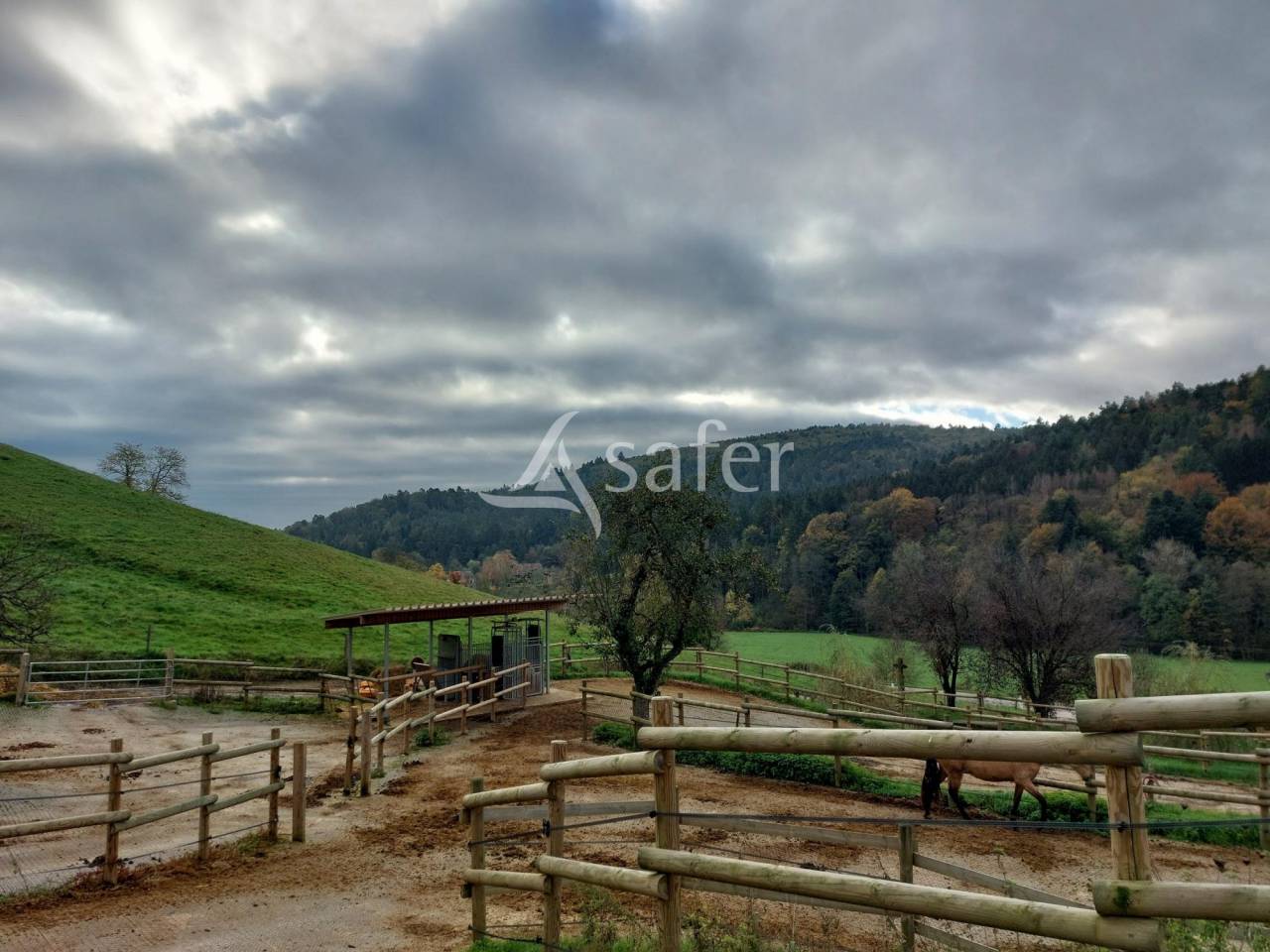 Equestrian property  Bas-Rhin