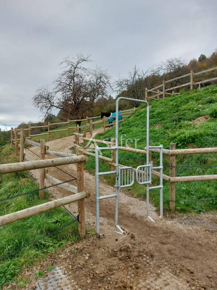 Equestrian property  Bas-Rhin