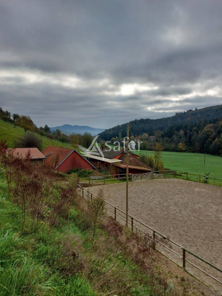 Equestrian property  Bas-Rhin