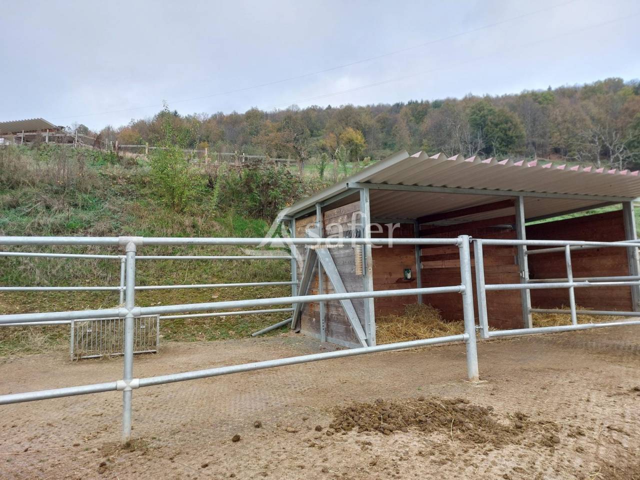 Equestrian property  Bas-Rhin