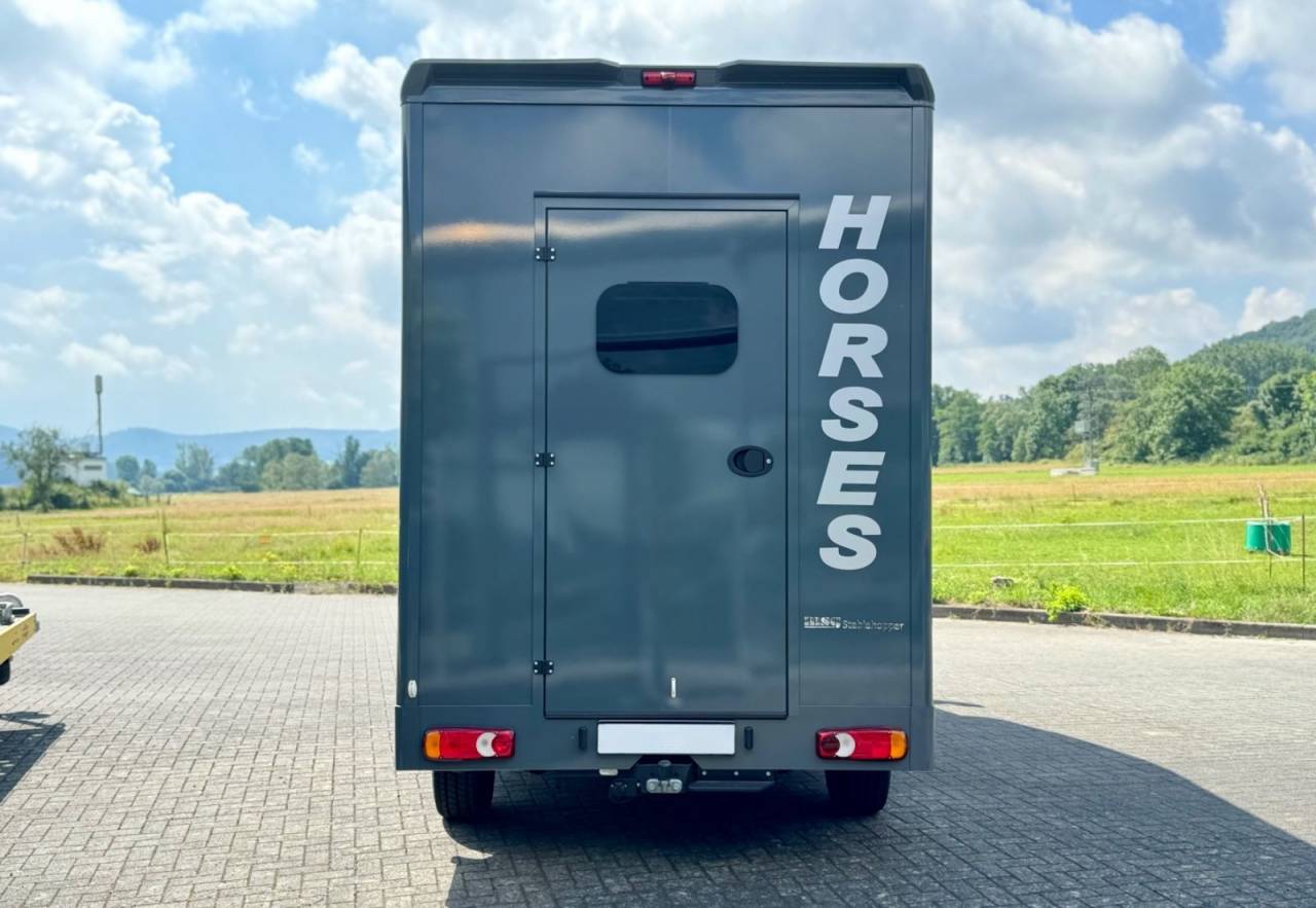 Horsebox HGV Autre marque NISSAN 0 New