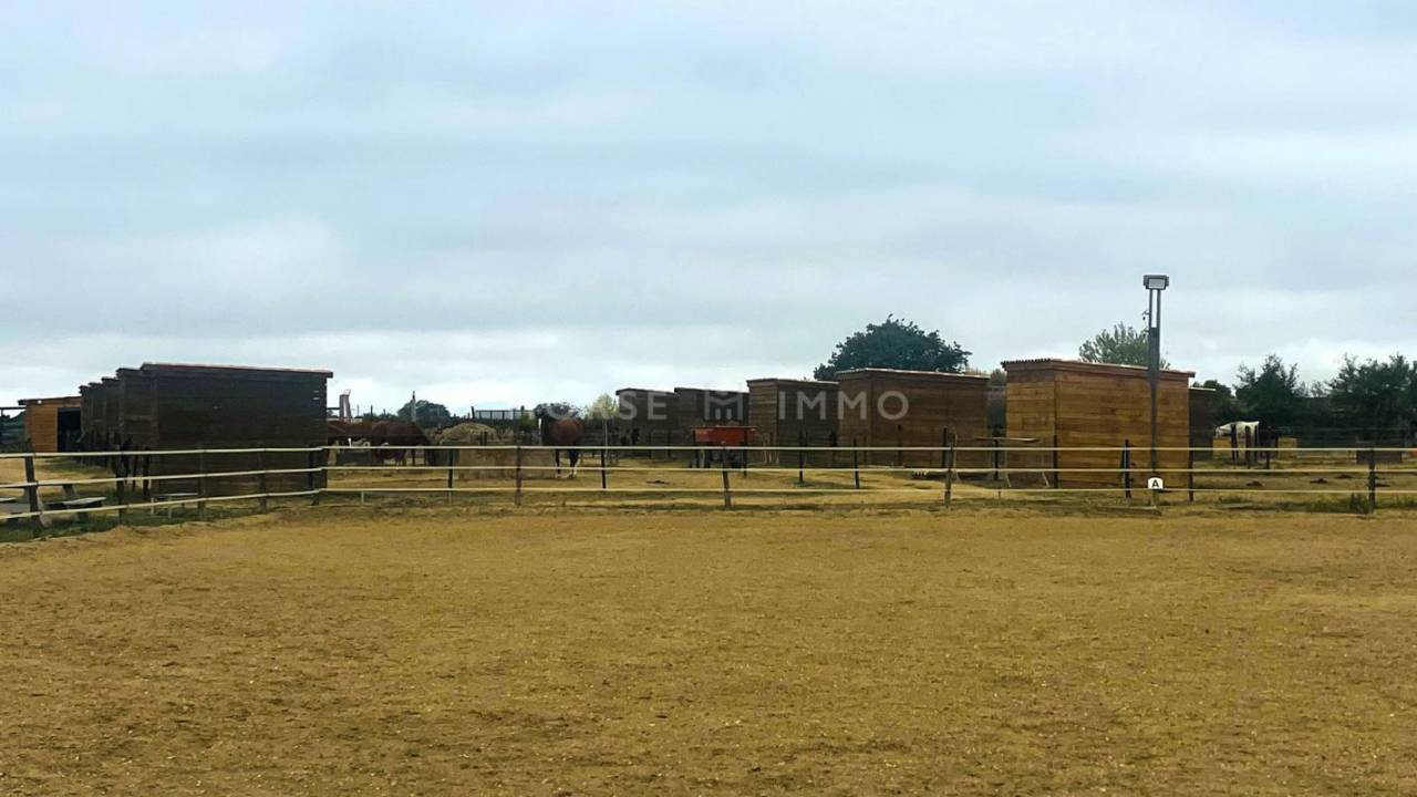 Equestrian property  Hérault