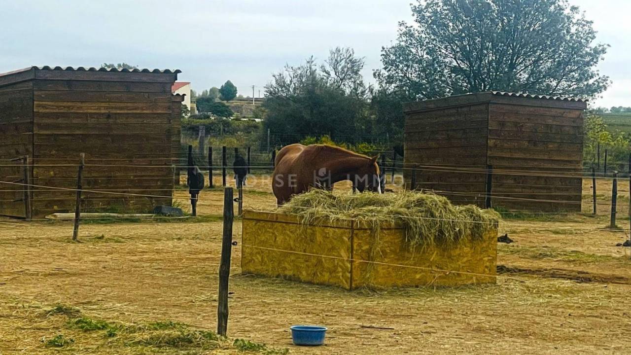 Equestrian property  Hérault