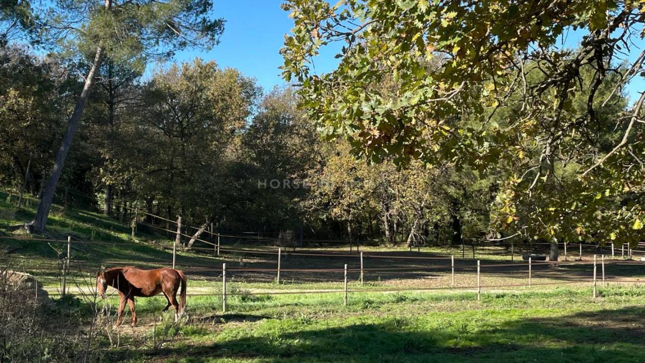 Equestrian property  Bouches-du-Rhône