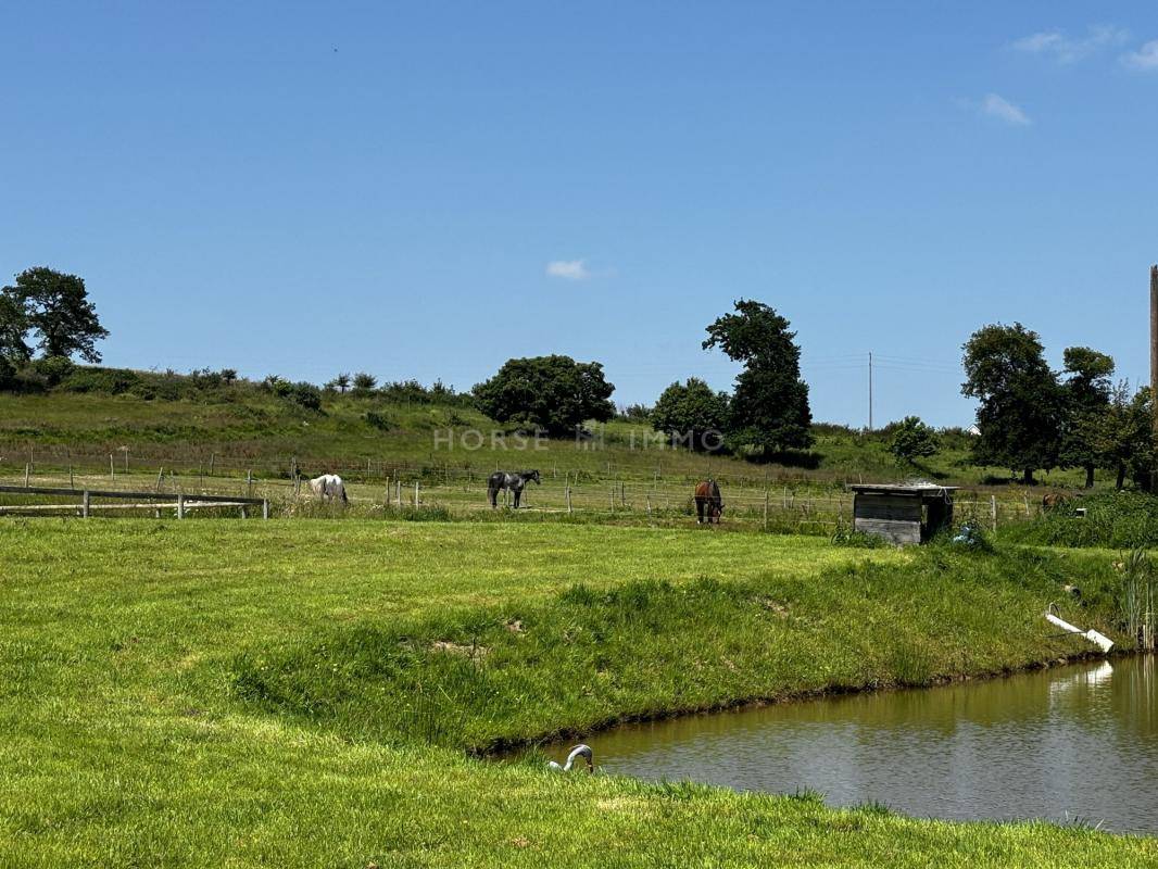 Stud farm  Ile-et-Vilaine