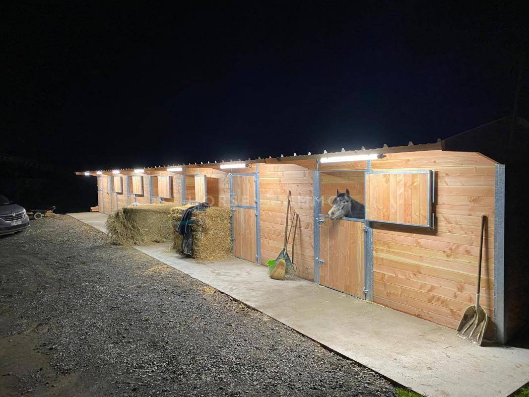 Stud farm  Ile-et-Vilaine