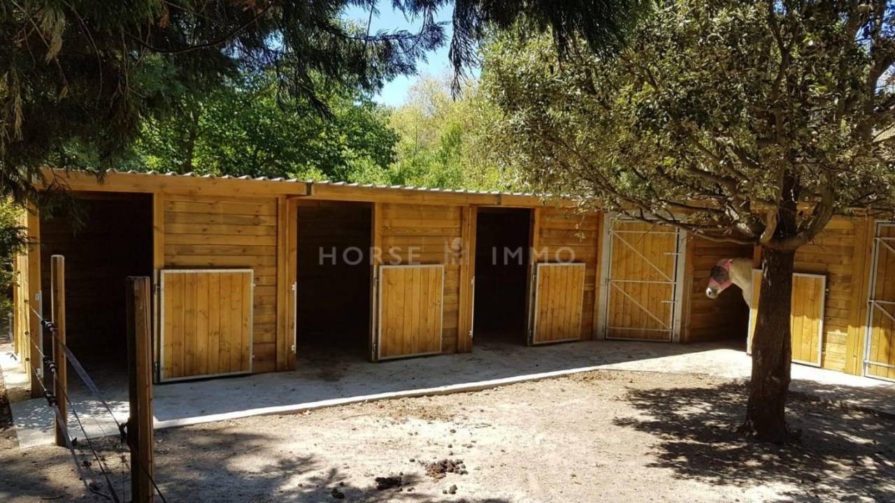 Equestrian property  Bouches-du-Rhône