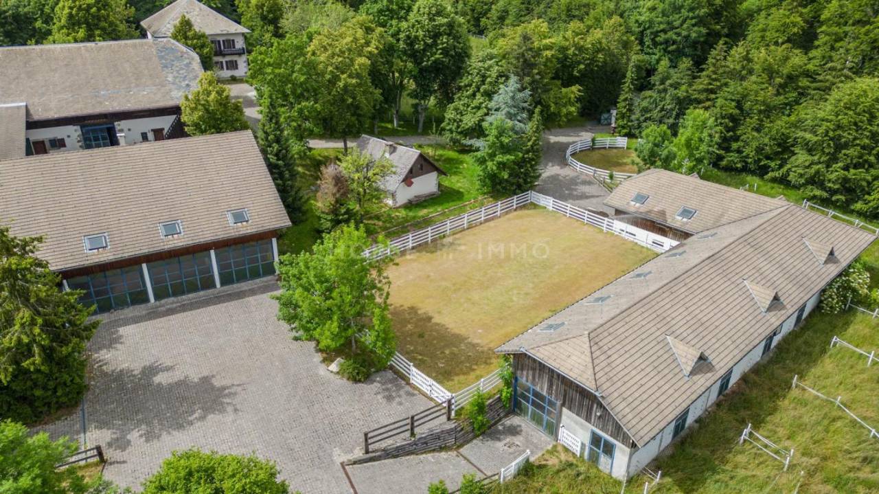 Stud farm  Haute-Savoie