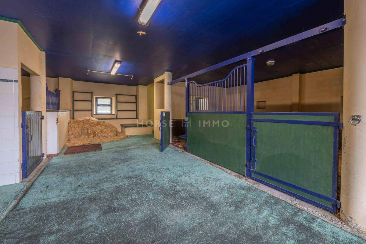 Stud farm  Haute-Savoie