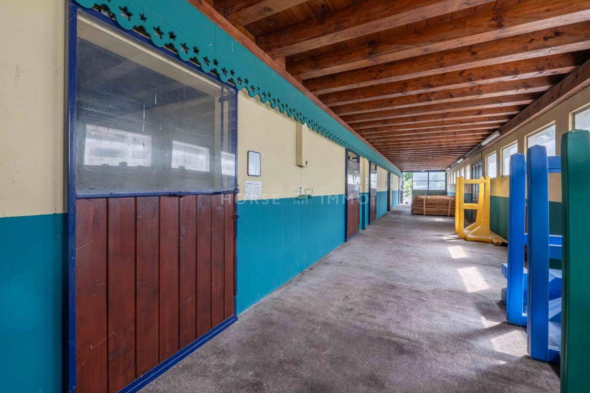 Stud farm  Haute-Savoie