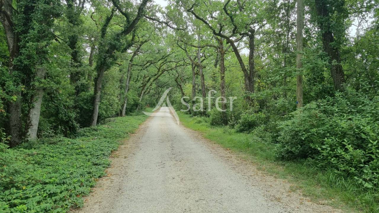 Other country property  Gers