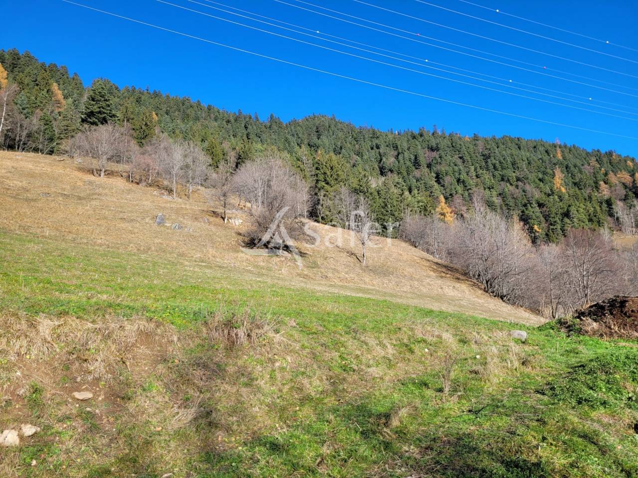Other agricultural property  Savoie