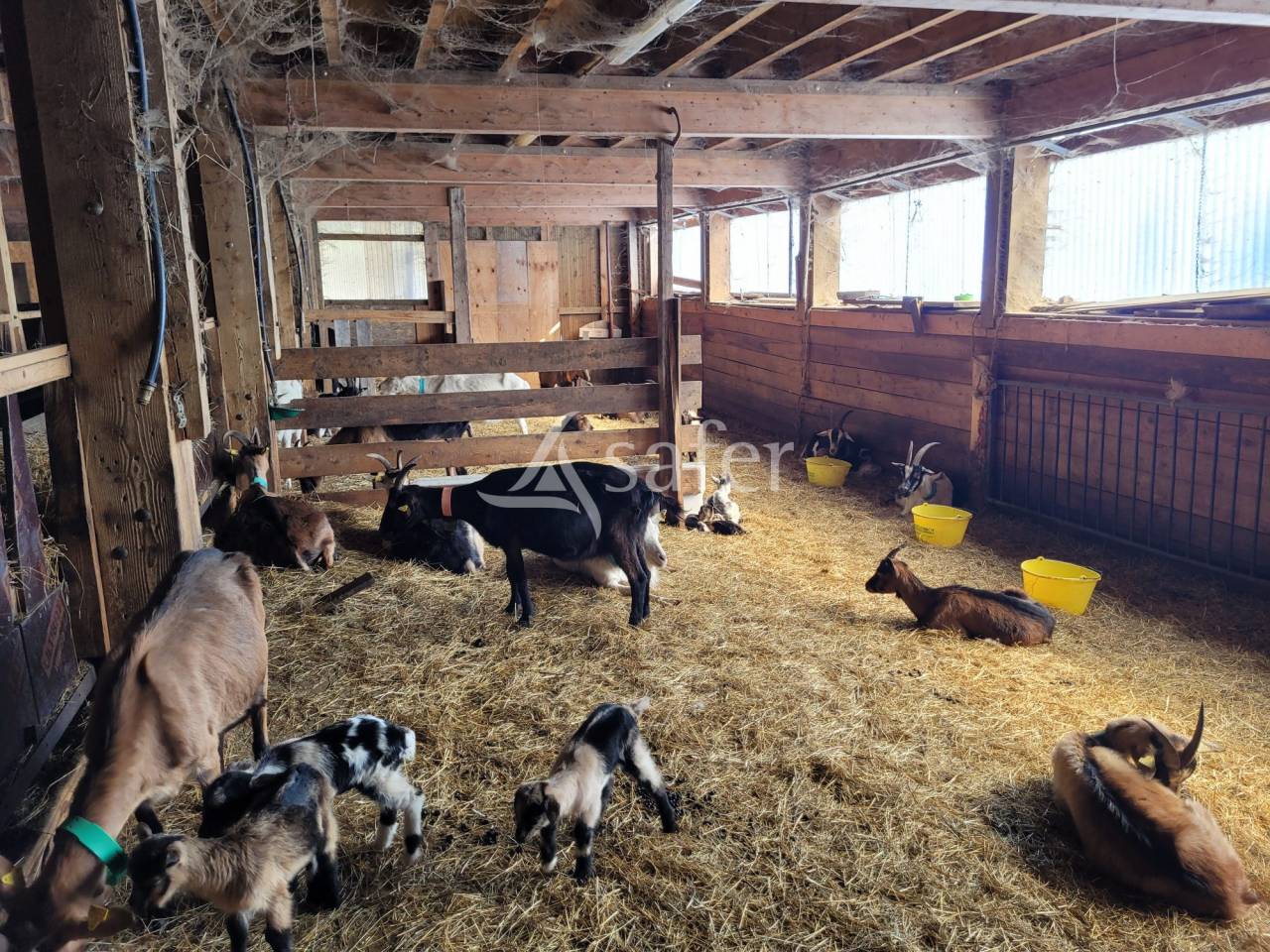 Other agricultural property  Savoie