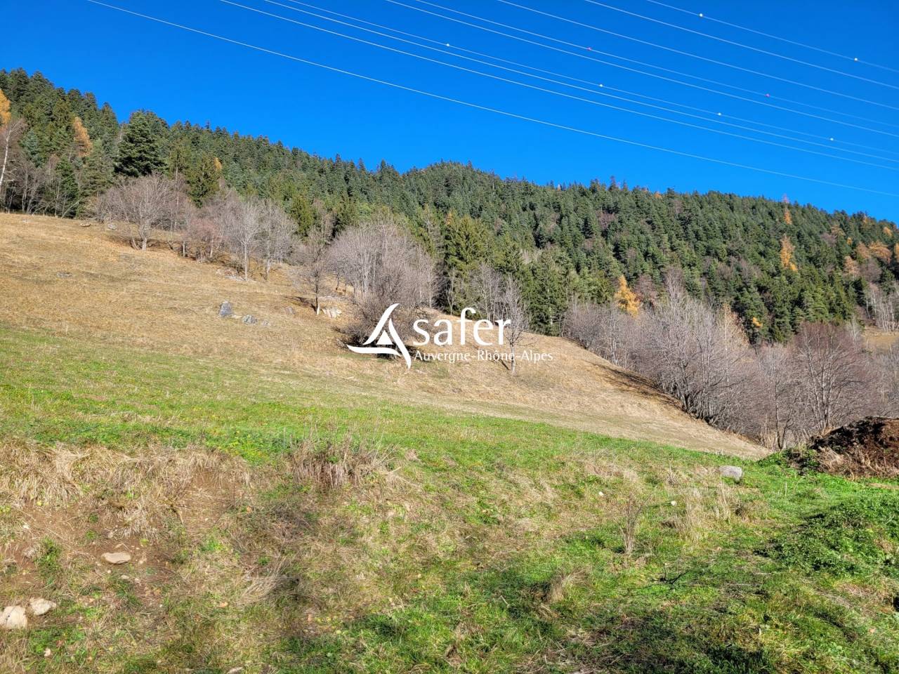 Other agricultural property  Savoie