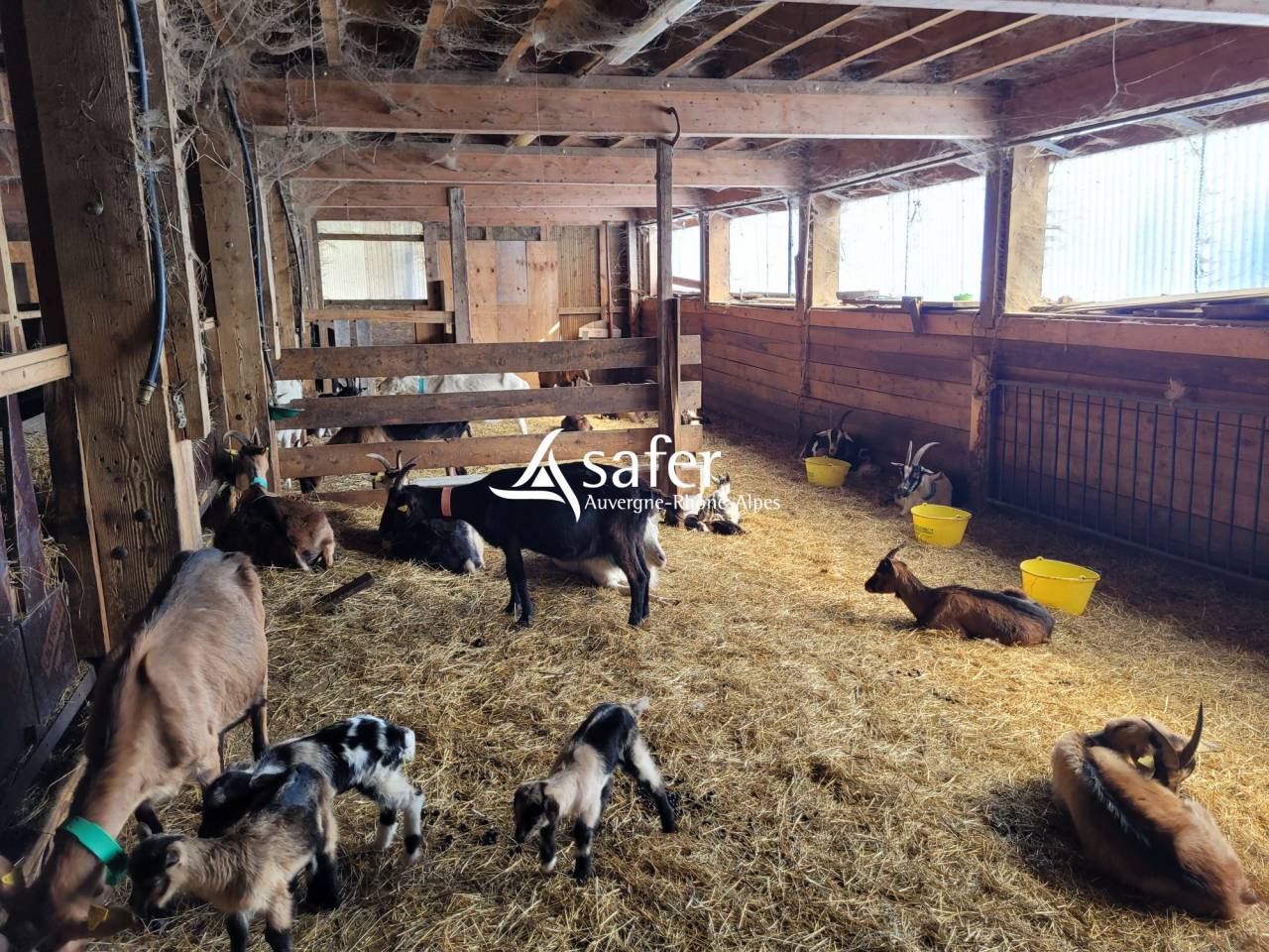 Other agricultural property  Savoie