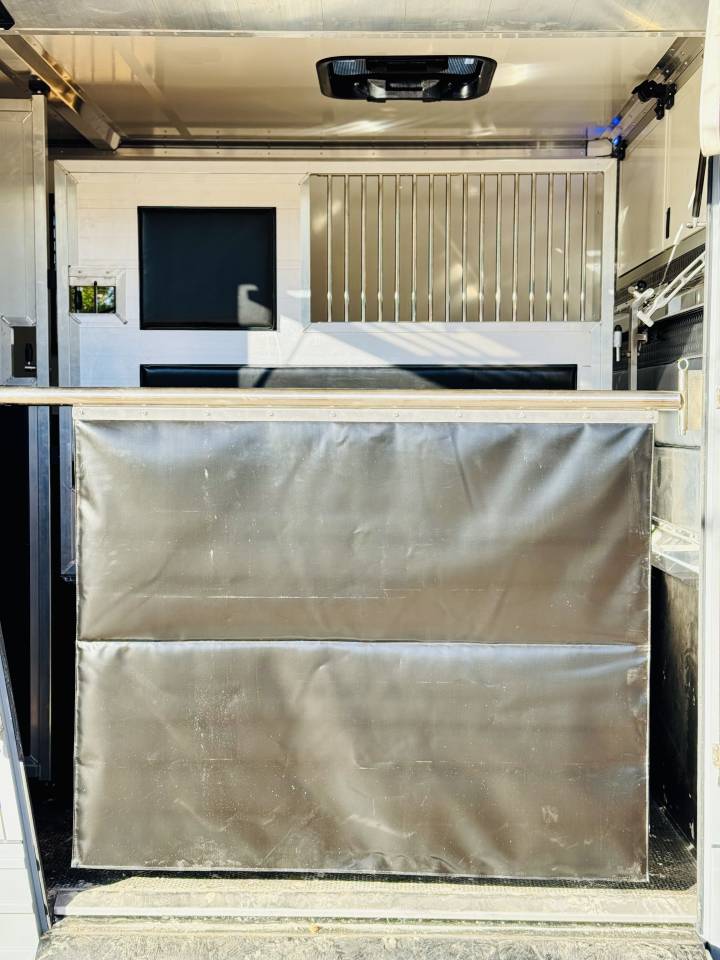 Horsebox HGV Opel MOVANO  2020 Used