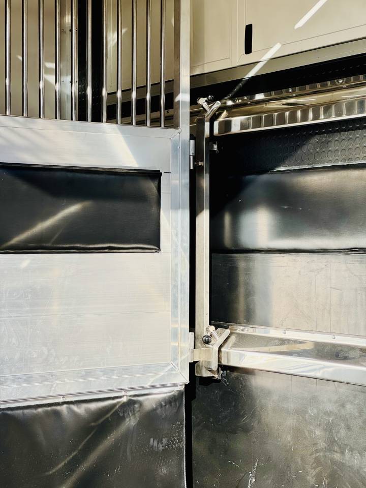 Horsebox HGV Opel MOVANO  2020 Used