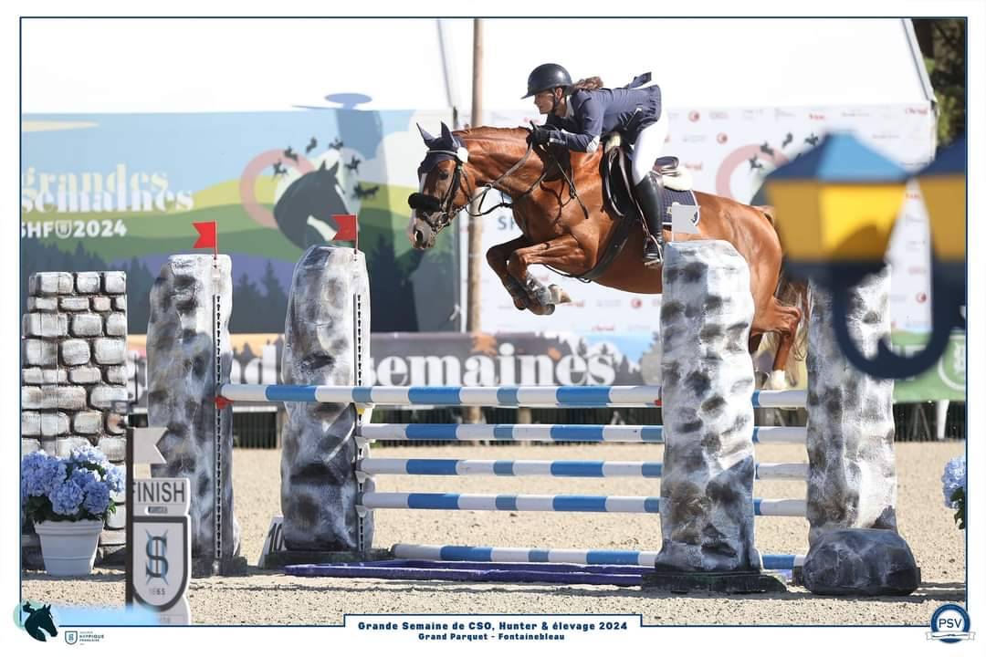 KELAMOUR DE L'OZANCE - Selle Français 2020 by L'AMOUR DU BOIS ISO 171