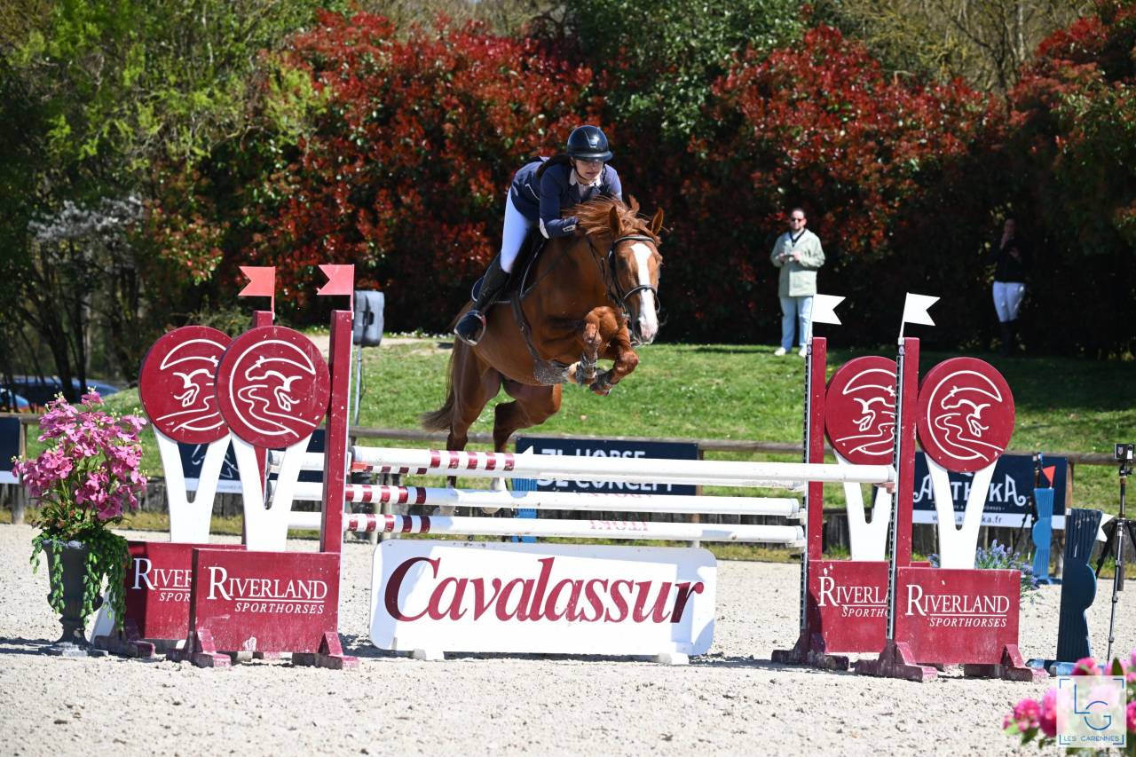 KELAMOUR DE L'OZANCE - Selle Français 2020 by L'AMOUR DU BOIS ISO 171