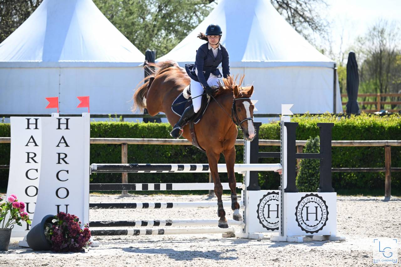 KELAMOUR DE L'OZANCE - Selle Français 2020 by L'AMOUR DU BOIS ISO 171