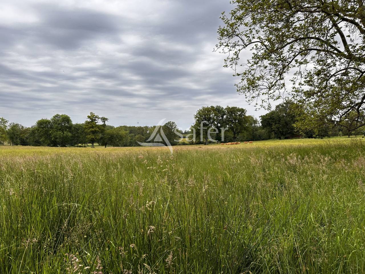 Other agricultural property  Charente