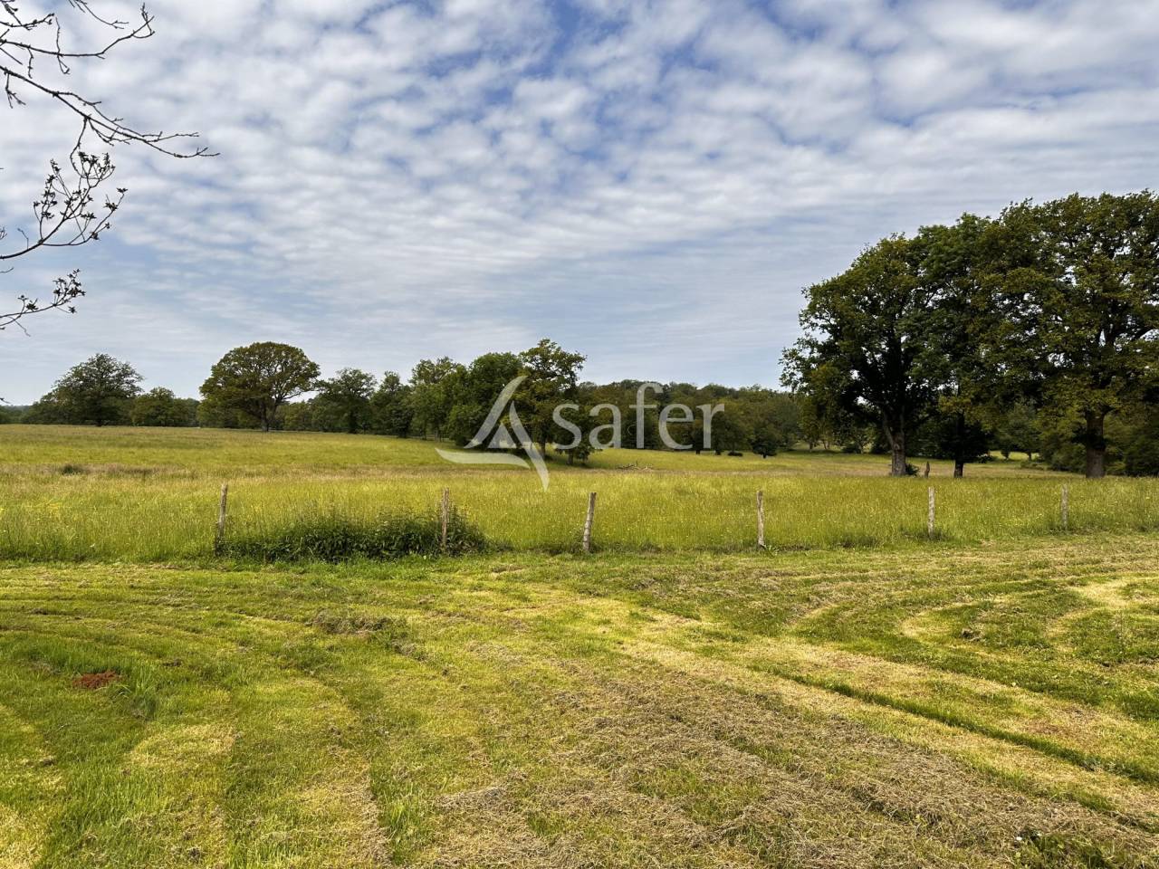 Other agricultural property  Charente