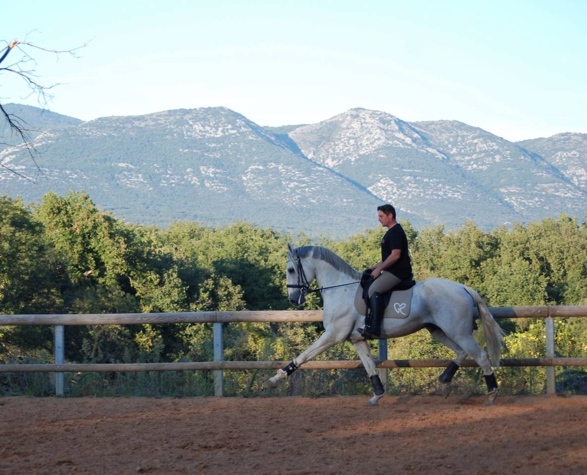 Soberano du Fesquet - Lusitano 2006 by HOSTIL JGB