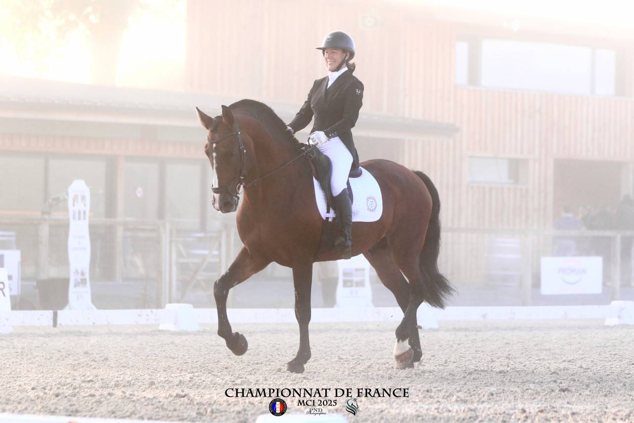 Dior du Fesquet - Lusitano 2013 by Rubi Ar