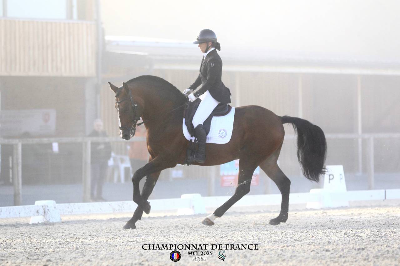 Dior du Fesquet - Lusitano 2013 by Rubi Ar