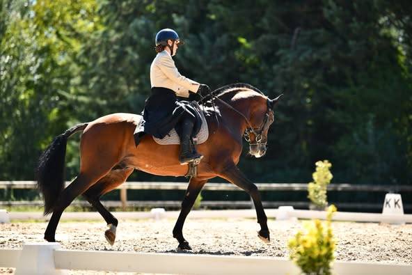 Dior du Fesquet - Lusitano 2013 by Rubi Ar