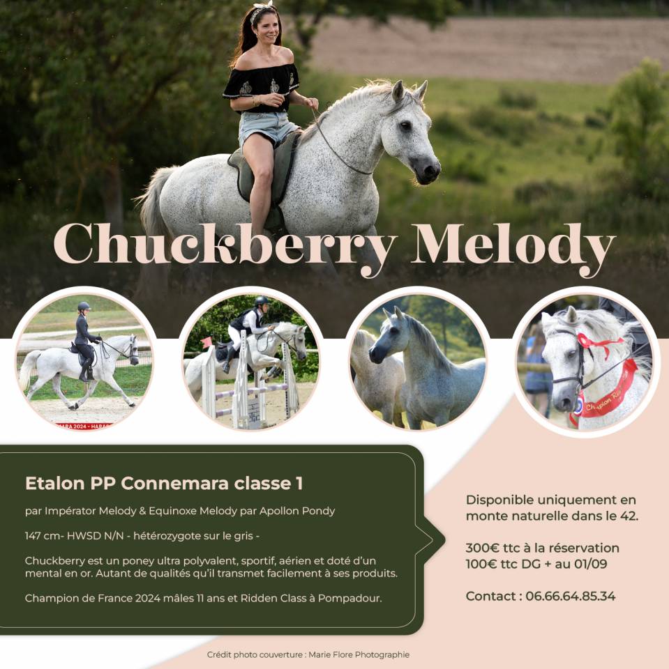 Chuckberry Melody - Connemara 2012 by IMPERATOR MELODY